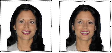 Passport Photo cut-out Double